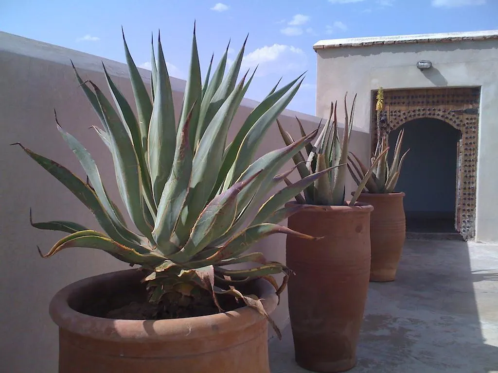 Riad Due Marrakesh